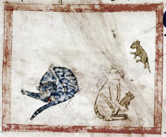 Medieval Paintings of Cats Licking Their Butts