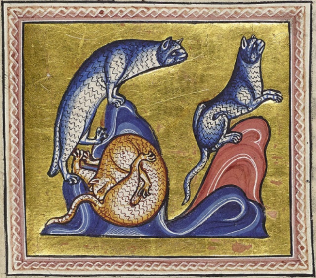 Medieval Paintings of Cats Licking Their Butts