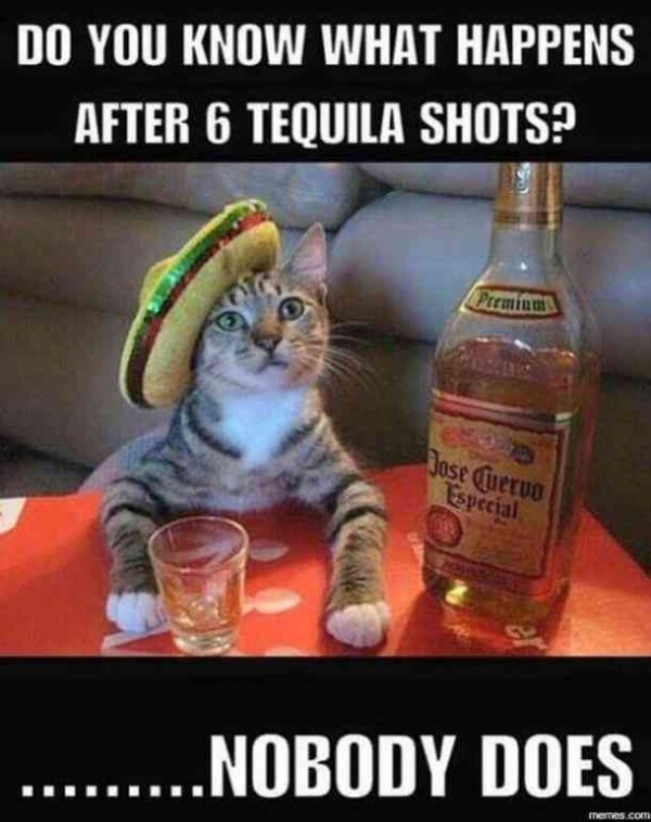 Tequila Memes