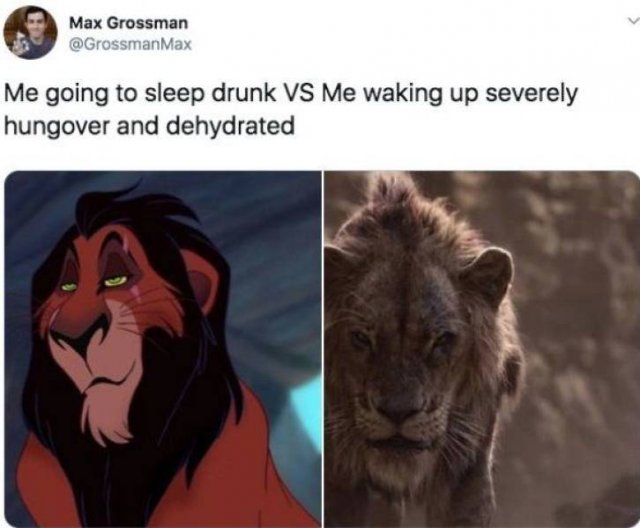 Lion King Memes | Fun