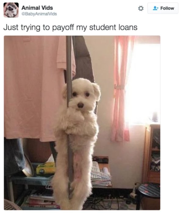 Student Loan Tweets