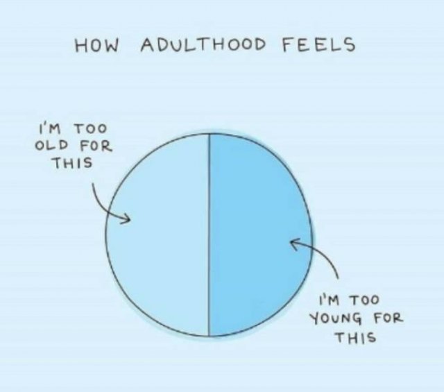 Adulting Memes