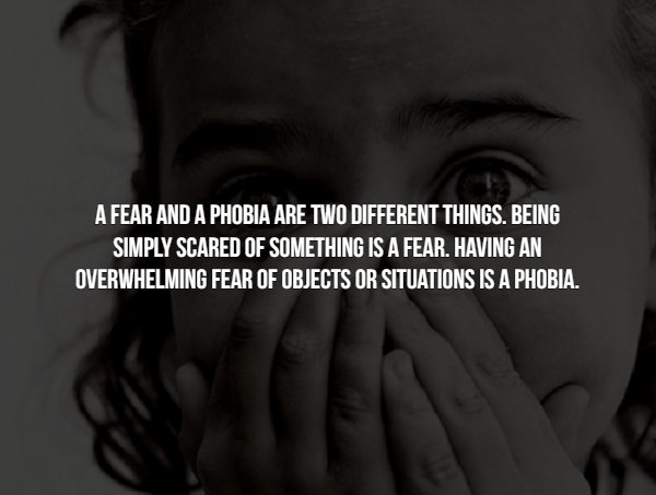 Facts About Phobias