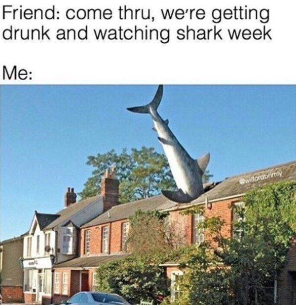 Shark Week Memes | Fun