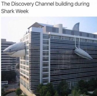 Shark Week Memes