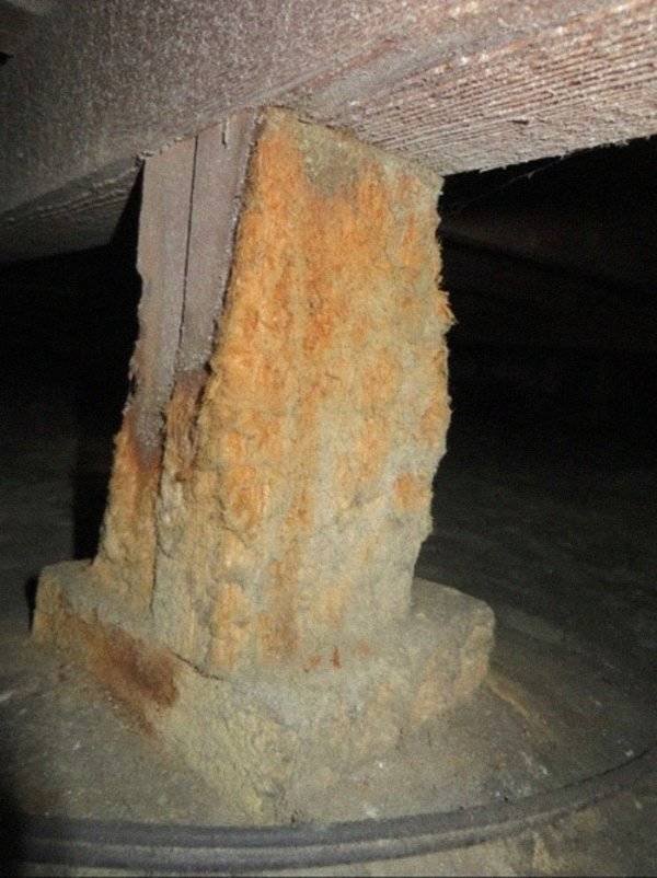 Things Structural Inspectors See