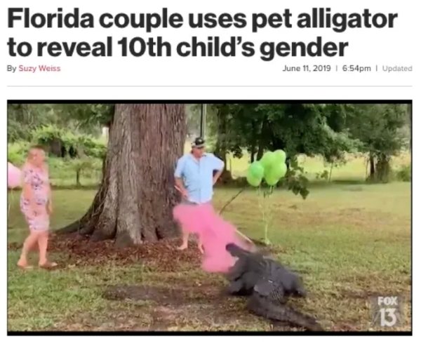 Nothing New In Florida According To This Year's Headlines