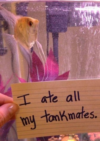 Fish Shaming