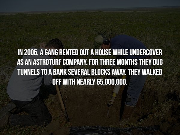 Gang Facts