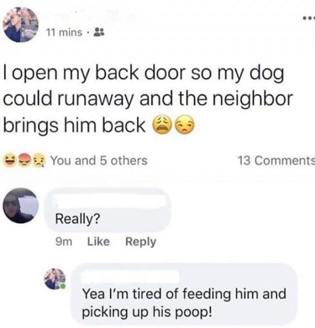 They Are Not The Best Pet Owners