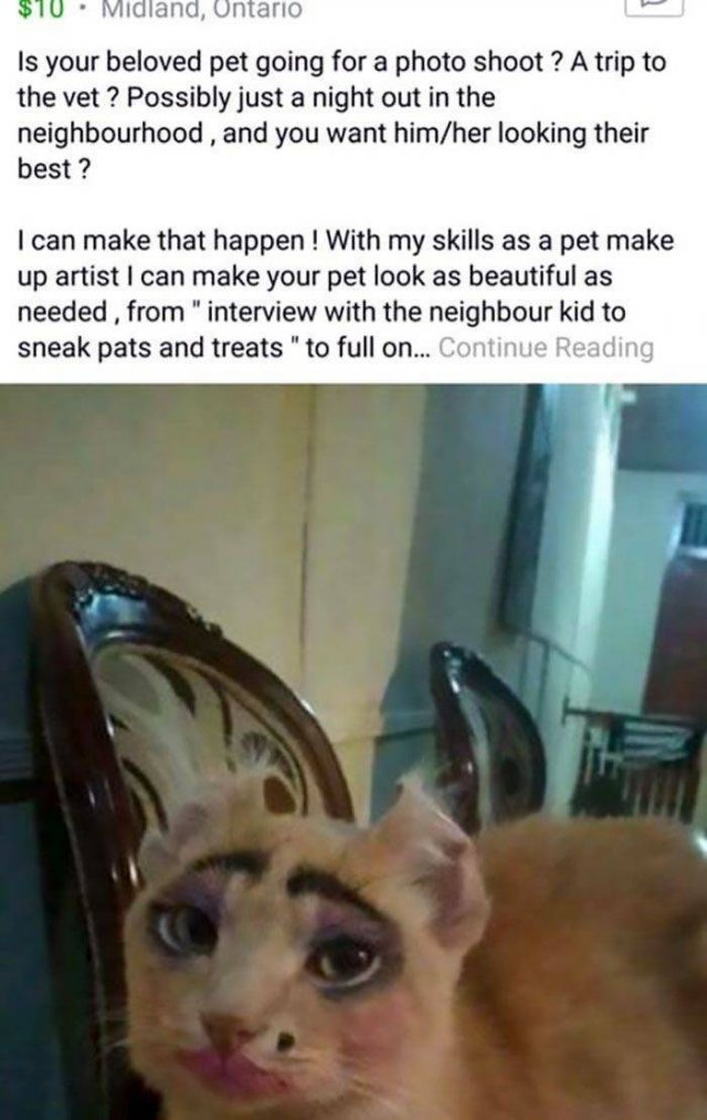 They Are Not The Best Pet Owners