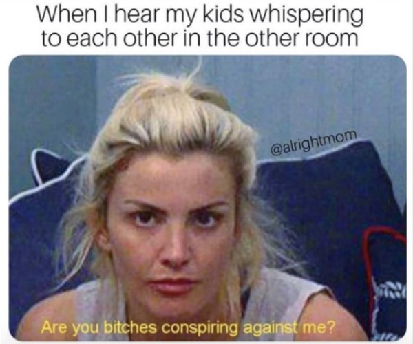 True And Funny Parenting Memes