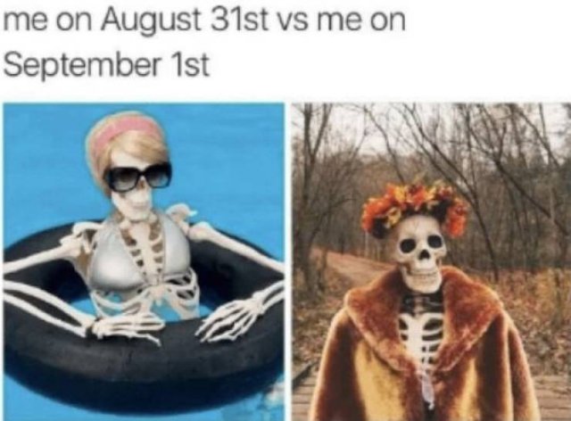 It's A Perfect Time For These Fall Memes