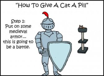 How To Give A Cat A Pill