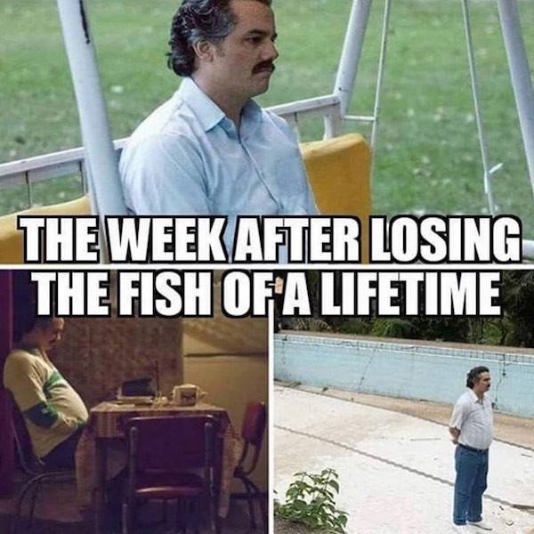 Fishing Memes, part 2
