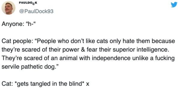 Dog People Vs Cat People