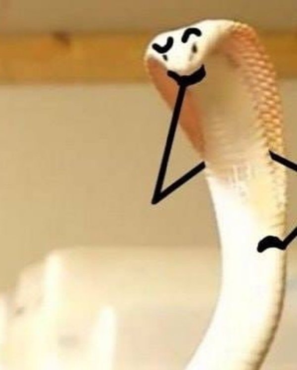 Snakes With Arms Are Hilarious