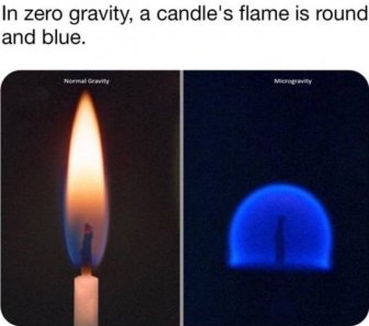 Fascinating Pictures