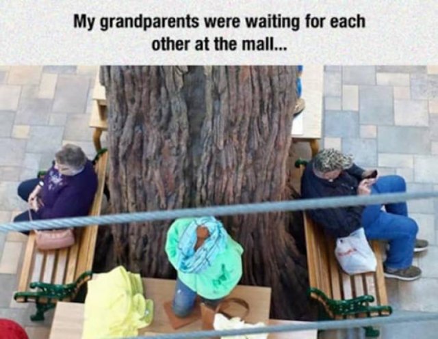 Elderly People Are Priceless
