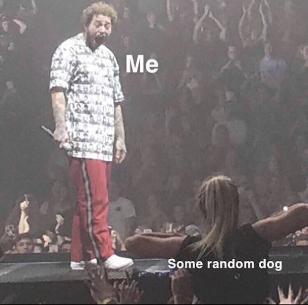 "Post Malone Being Flashed At A Concert" Memes