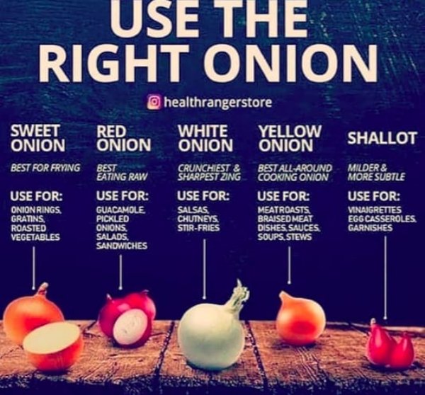 Instagram Food Facts