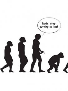 Funny Illustrations About The Evolution