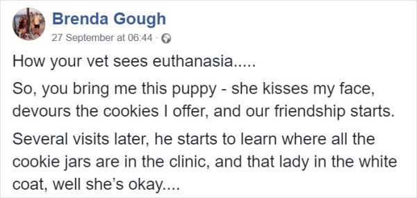 How Your Vet Sees Euthanasia