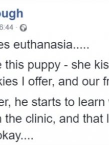 How Your Vet Sees Euthanasia