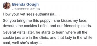 How Your Vet Sees Euthanasia