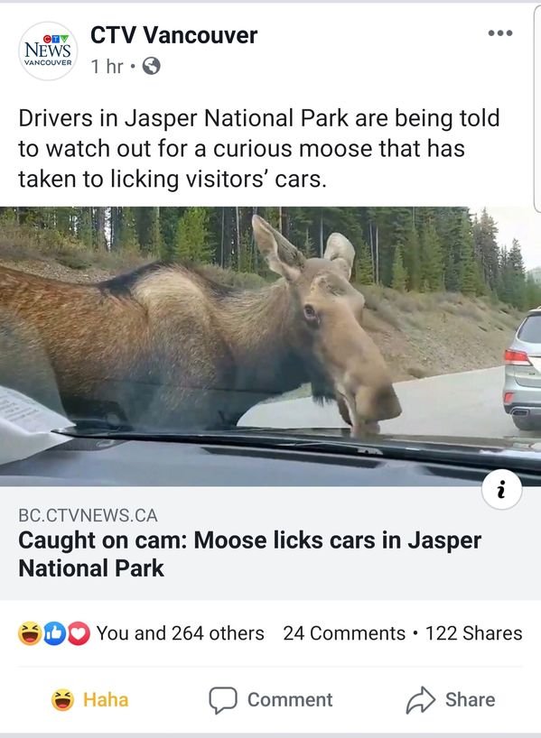 Meanwhile In Canada..., part 5
