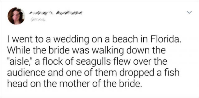 Wedding Oddities