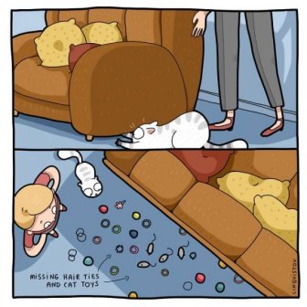 Comics About Cat And Its Owner