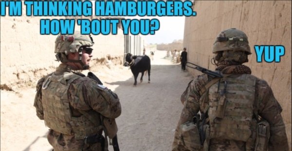 Military Memes, part 5