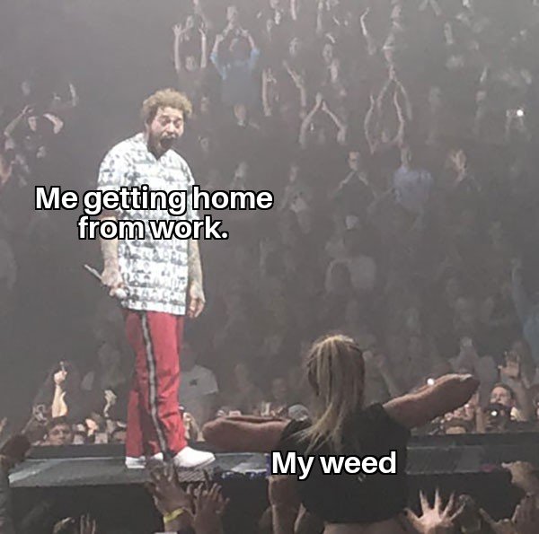 Weed Memes, part 3