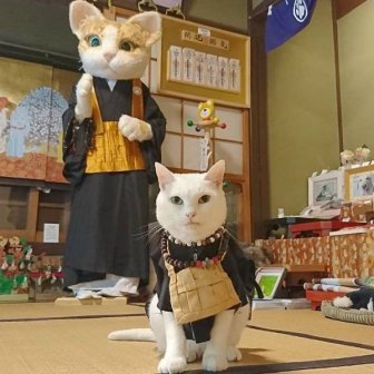 Cat Shrine In Japan