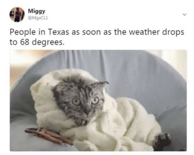 Cold Weather Memes