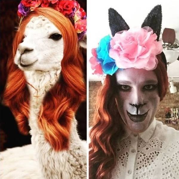 Strange Halloween Costumes