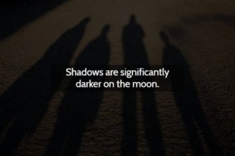 Strange & Spooky Facts