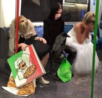 Funny And Strange Things On the Subway