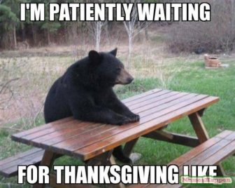 Thanksgiving Memes