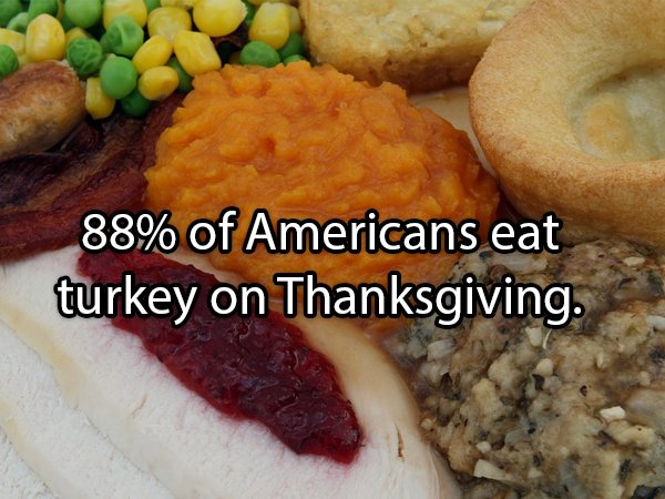 Facts About Turkeys