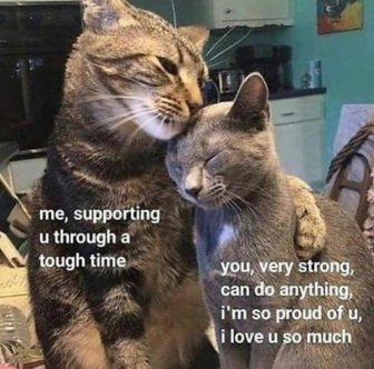 Wholesome Memes