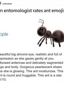 An Entomologist Rates Ant Emojis