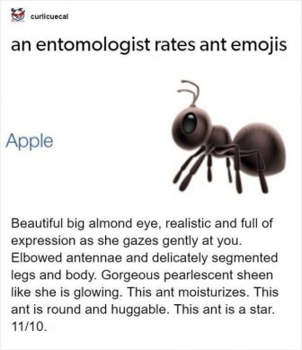 An Entomologist Rates Ant Emojis