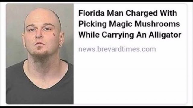 Crazy Florida People