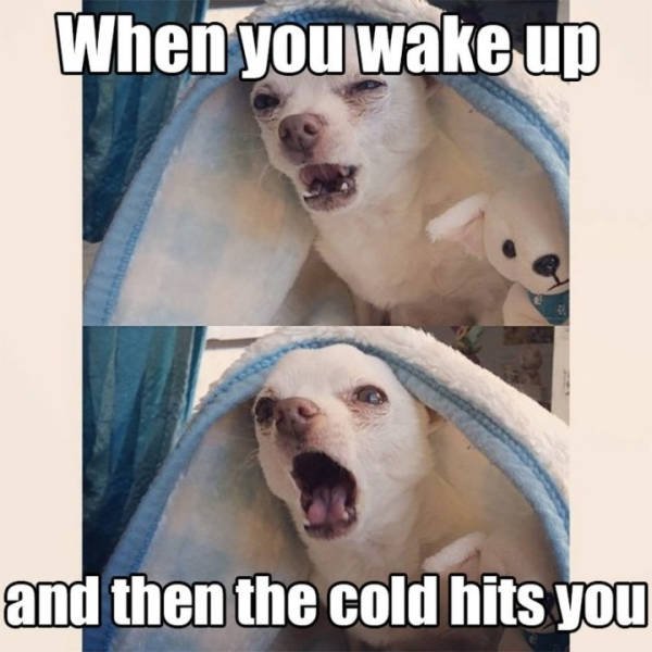 Cold Winter Memes