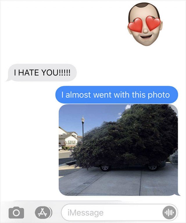 Dad's Christmas Tree Shopping Gone Wrong