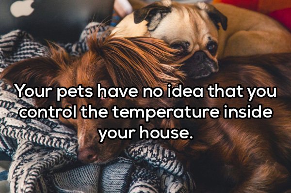 Shower Thoughts, part 94