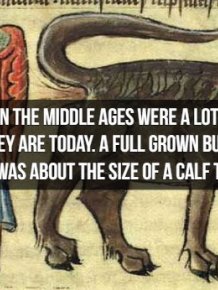 Interesting Middle Ages Facts