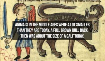 Interesting Middle Ages Facts